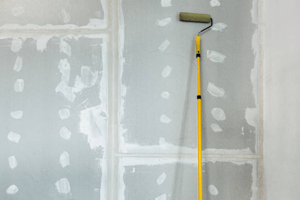 Best Black Mold Removal  in Kingston Estates, NJ